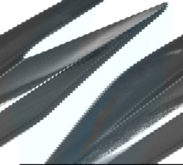 Bananinha Farol Esquerda Honda Cb 250f Twister 16-22 Orig Preto