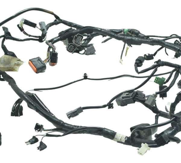 Chicote Principal C/ Detalhes Kawasaki Ninja 300 13-18 Orig