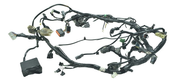 Chicote Principal C/ Detalhes Kawasaki Ninja 300 13-18 Orig
