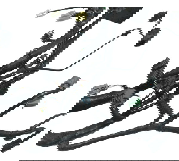 Chicote Principal C/ Detalhes Kawasaki Ninja 300 13-18 Orig