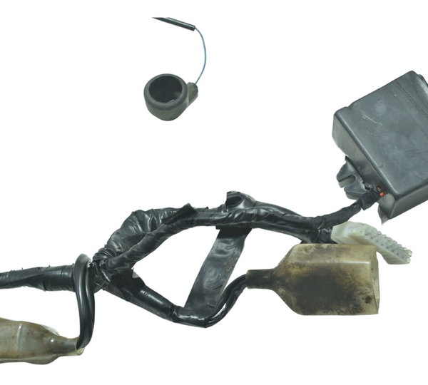 Chicote Principal C/ Detalhes Kawasaki Ninja 300 13-18 Orig