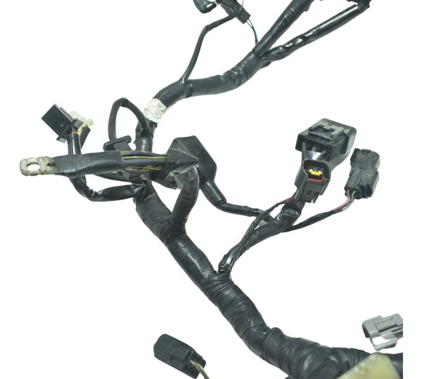 Chicote Principal C/ Detalhes Kawasaki Ninja 300 13-18 Orig