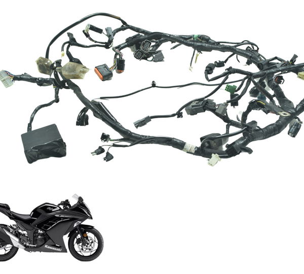 Chicote Principal C/ Detalhes Kawasaki Ninja 300 13-18 Orig