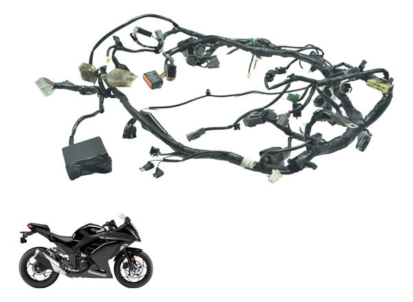 Chicote Principal C/ Detalhes Kawasaki Ninja 300 13-18 Orig