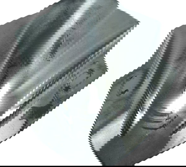 Bolha C/ Avaria Kawasaki Ninja 300 13-18 Original