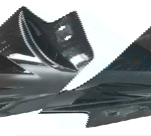 Bolha C/ Avaria Kawasaki Ninja 300 13-18 Original