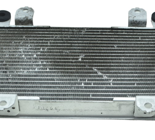 Radiador Água Kawasaki Ninja 300 13-18 Original