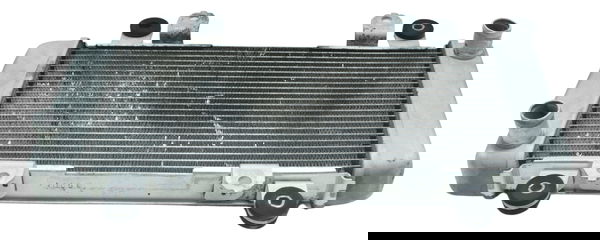 Radiador Água Kawasaki Ninja 300 13-18 Original