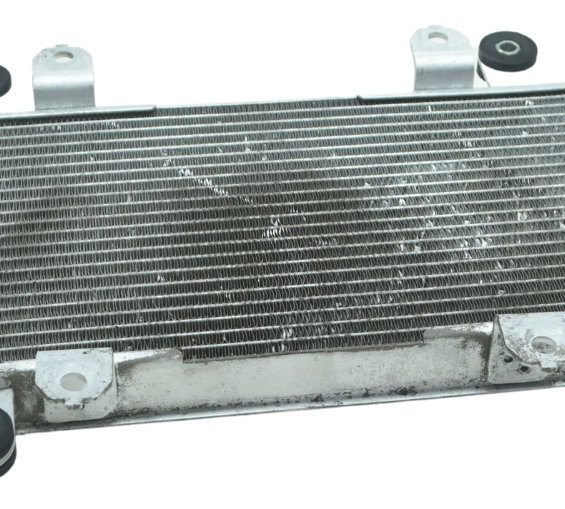 Radiador Água Kawasaki Ninja 300 13-18 Original