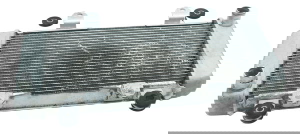 Radiador Água Kawasaki Ninja 300 13-18 Original