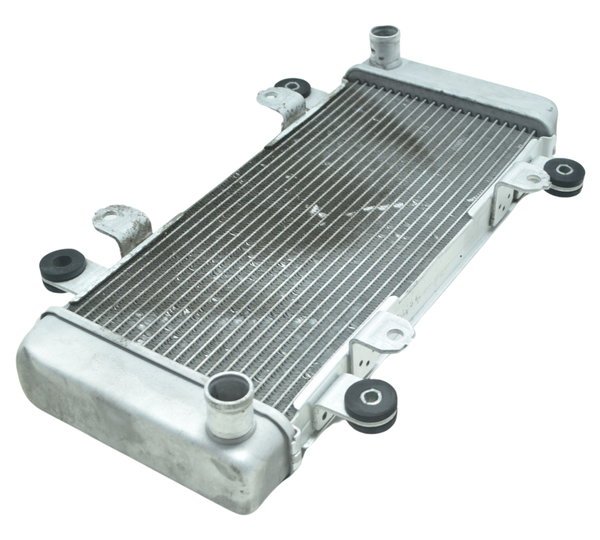 Radiador Água Kawasaki Ninja 300 13-18 Original