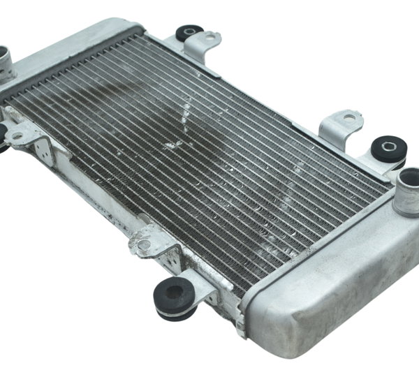 Radiador Água Kawasaki Ninja 300 13-18 Original