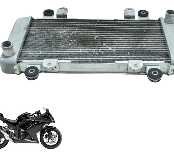 Radiador Água Kawasaki Ninja 300 13-18 Original