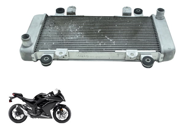 Radiador Água Kawasaki Ninja 300 13-18 Original