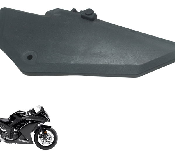 Tampa Filtro Ar Kawasaki Ninja 300 13-18 Original