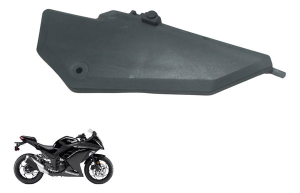 Tampa Filtro Ar Kawasaki Ninja 300 13-18 Original