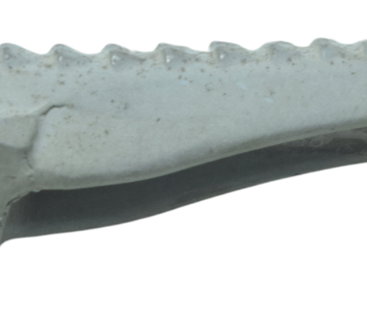 Pedaleira Dianteira Direita Kawasaki Ninja 300 13-18 Orig