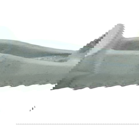 Pedaleira Dianteira Direita Kawasaki Ninja 300 13-18 Orig