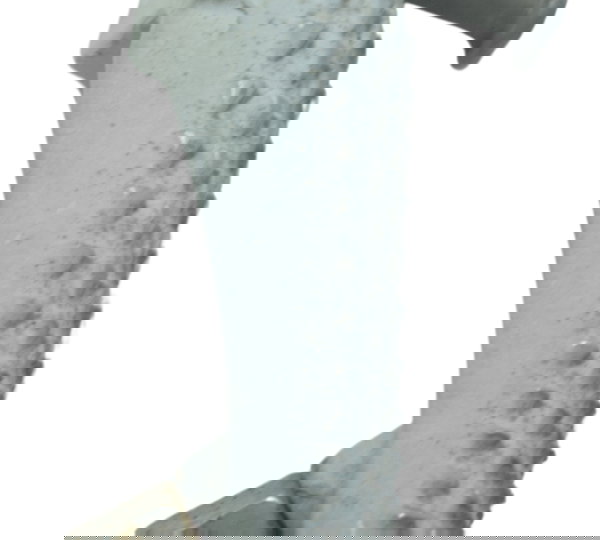 Pedaleira Dianteira Direita Kawasaki Ninja 300 13-18 Orig