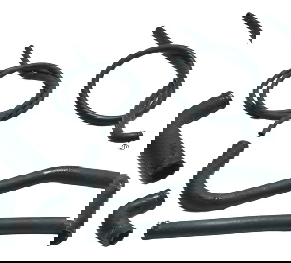 Kit Mangueiras Kawasaki Ninja 300 13-18 Original