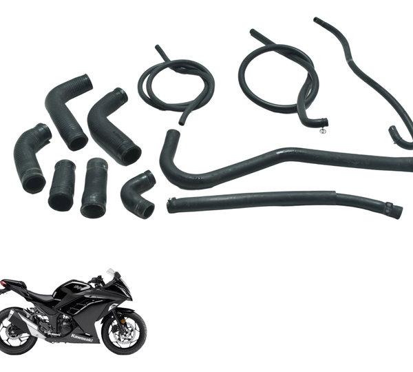 Kit Mangueiras Kawasaki Ninja 300 13-18 Original