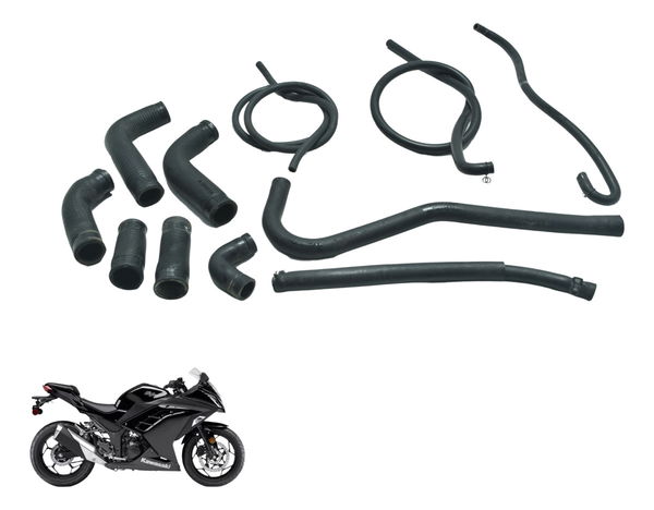 Kit Mangueiras Kawasaki Ninja 300 13-18 Original