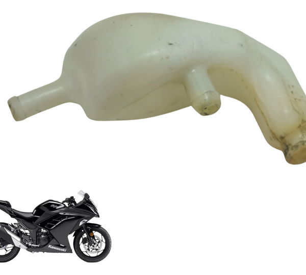 Respiro Kawasaki Ninja 300 13-18 Original