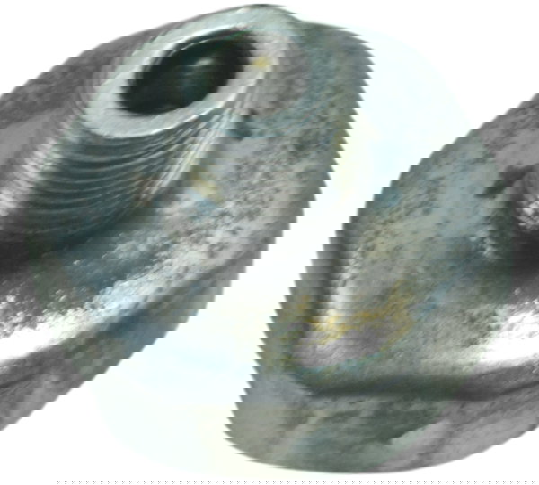 Sensor Óleo Kawasaki Ninja 300 13-18 Original