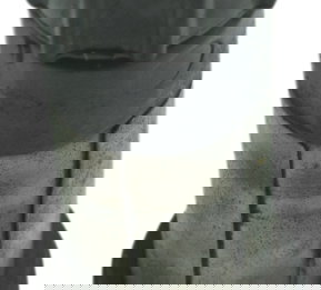 Bobina Ignição Kawasaki Ninja 300 13-18 Original