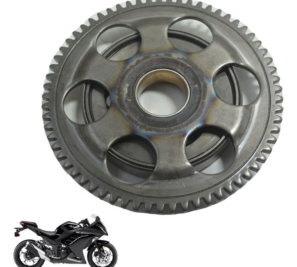 Placa Partida Kawasaki Ninja 300 13-18 Original