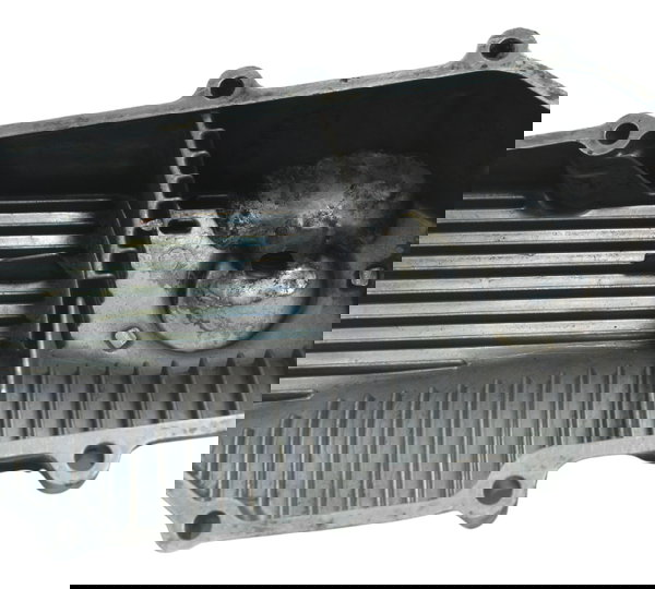 Tampa Cárter C/ Detalhes Kawasaki Ninja 300 13-18 Original