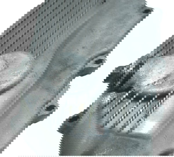 Tampa Cárter C/ Detalhes Kawasaki Ninja 300 13-18 Original