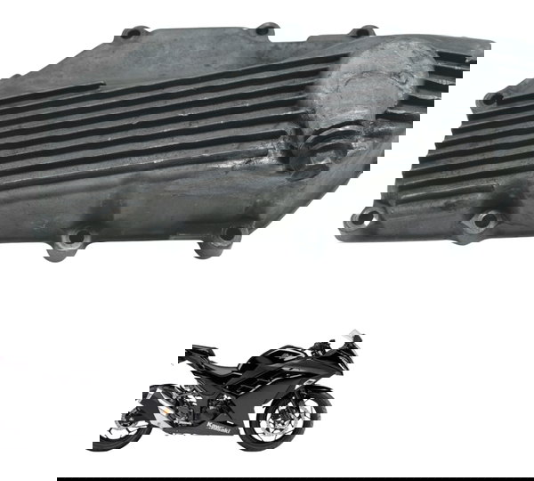 Tampa Cárter C/ Detalhes Kawasaki Ninja 300 13-18 Original