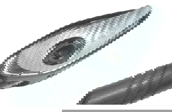 Pisca Traseiro Direito S/ Lente Honda Cb 250f Twister 16-22