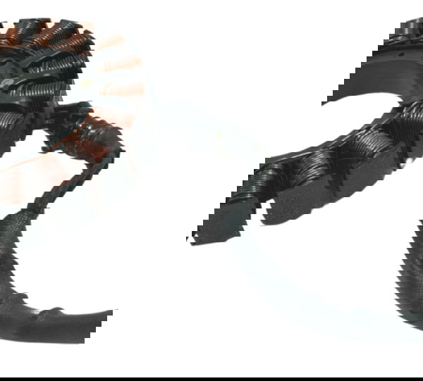 Estator Harley Electra Glide Cvo 110 12-13 Original