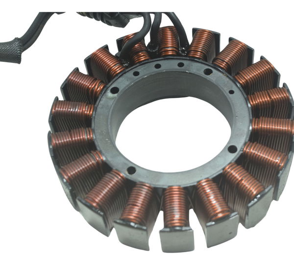 Estator Harley Electra Glide Cvo 110 12-13 Original