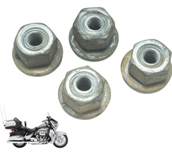 Parafuso Suport Paralam T Harley Electra Glide Cvo 110 12-13 Prateado