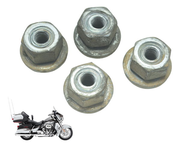 Parafuso Suport Paralam T Harley Electra Glide Cvo 110 12-13