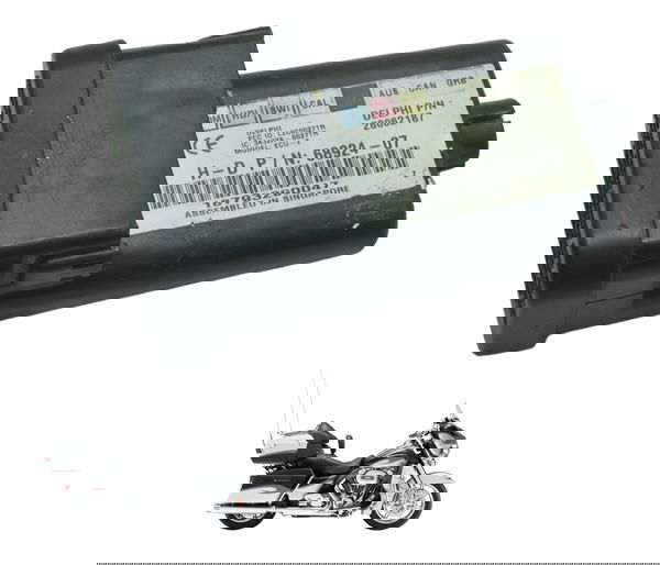 Modulo Tsm Harley Electra Glide Cvo 110 12-13 Original