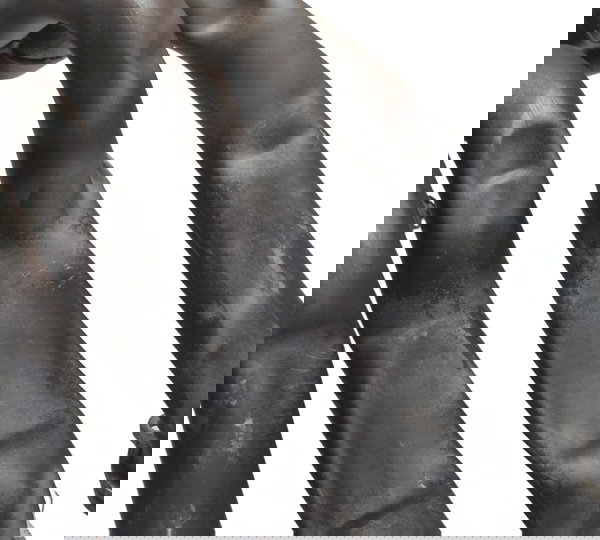 Curva Escape C/ Avaria Honda Cbr 1000 Rr 08-11 Original