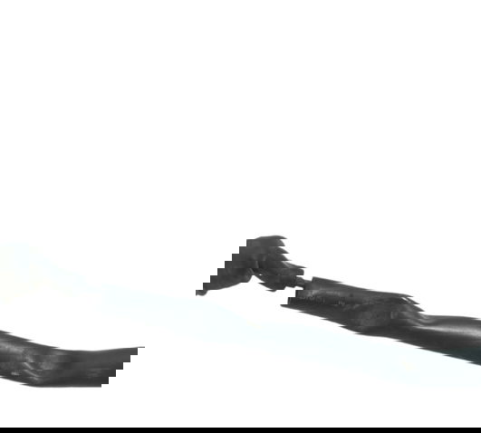 Interruptor Freio Traseiro Honda Cbr 1000 Rr 08-11 Original