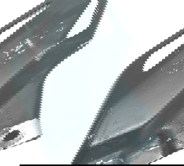 Protetor Calcanhar Esq Honda Cbr 1000 Rr 08-11 Original Preto