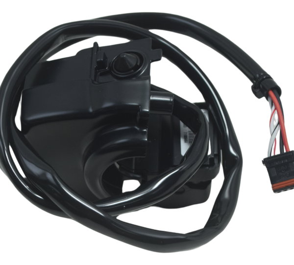 Chave Luz Harley Davidson Softail Cruise Control Original
