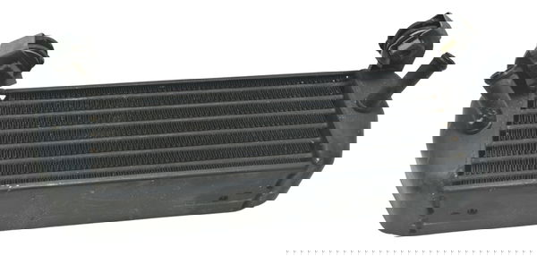 Radiador Óleo Bmw R1150 R 1150 Gs 00-03 Original