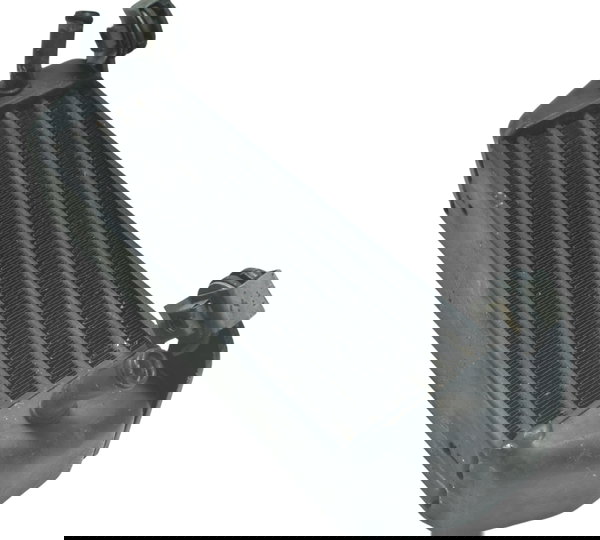 Radiador Óleo Bmw R1150 R 1150 Gs 00-03 Original