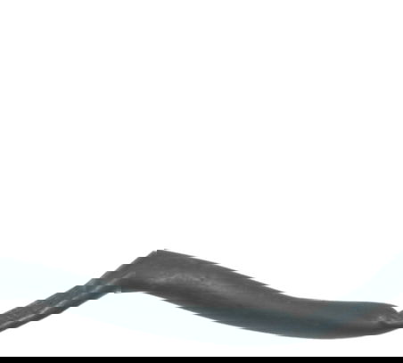 Interruptor Freio Dianteiro Bmw R1150 R 1150 Gs 00-03 Orig