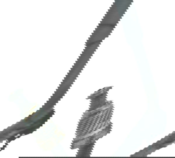 Flexível Abs Traseiro Bmw R1150 R 1150 Gs 00-03 Original