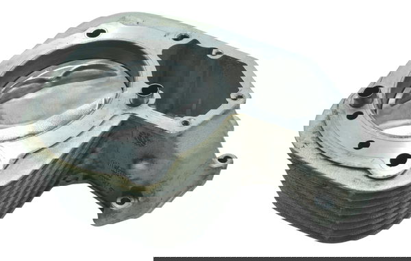 Cilindro Pistão E Anéis Esq Bmw R1150 R 1150 Gs 00-03 Orig