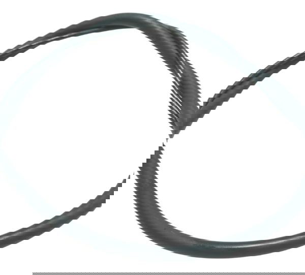 Flexível Freio Traseiro C/det Bmw R1150 R 1150 Gs 00-03 Orig