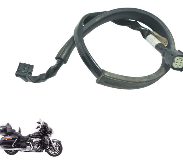 Chicote Lanterna Harley Electra Glide Touring 17-19 Original